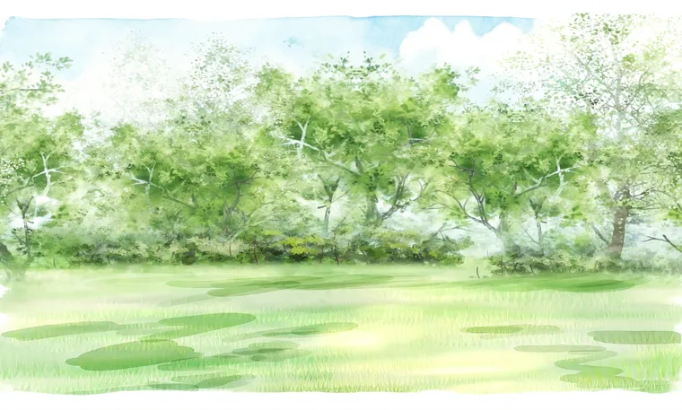 婚礼舞台背景场景 — 草地森林淡彩水彩背景